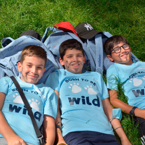 pago reserva inscripcion campamento ingles gredos
