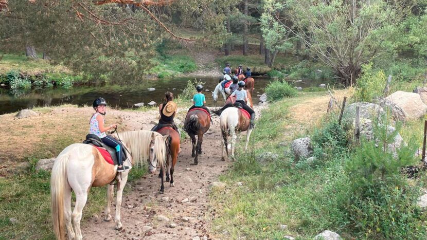 campamento ingles inmersion total en avila