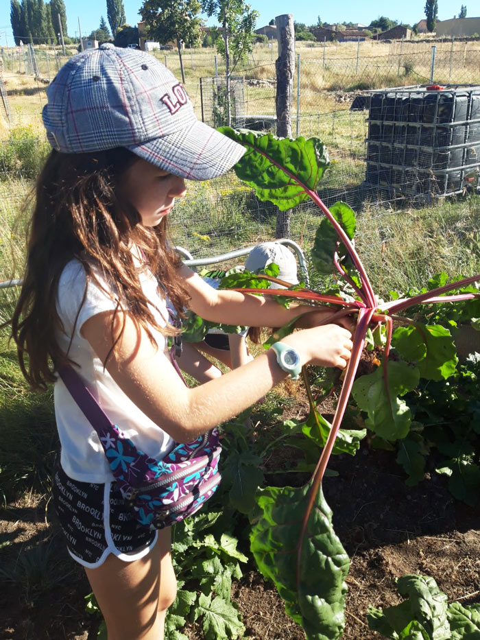 nutricion campamento ingles gredos